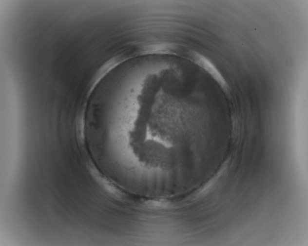 X0000115510994200911061353