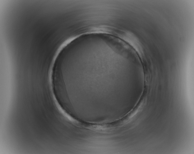 X0000115510995200911061353