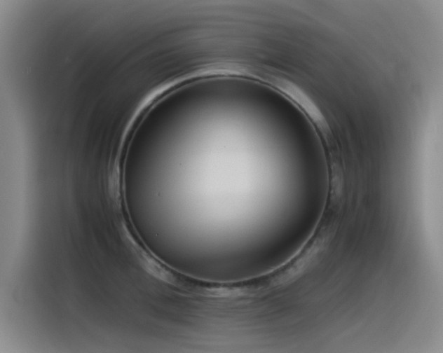 X0000115510996200911061353