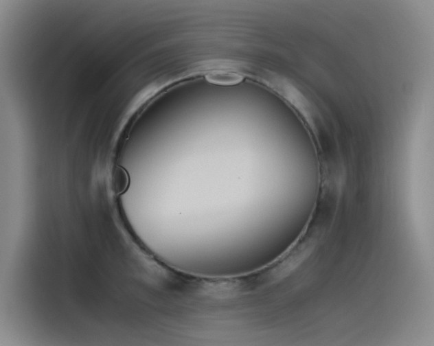 X0000115510997200911061353