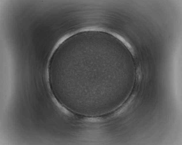 X0000115510998200911061353