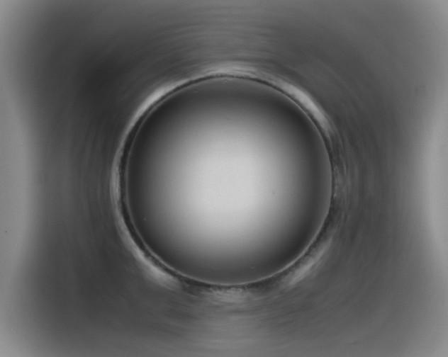 X0000115510999200911061353