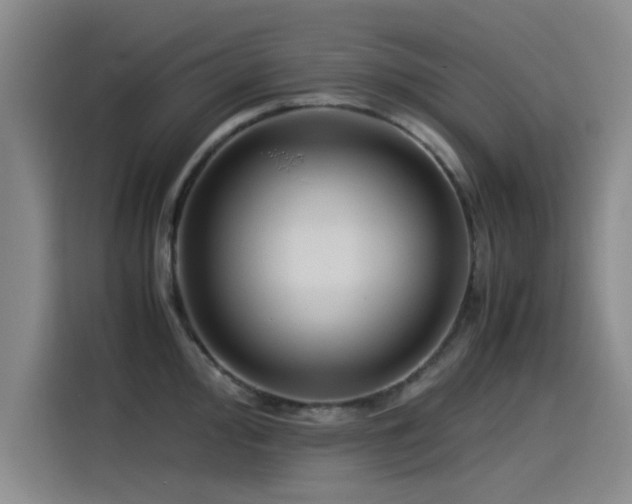 X0000115511000200911061353