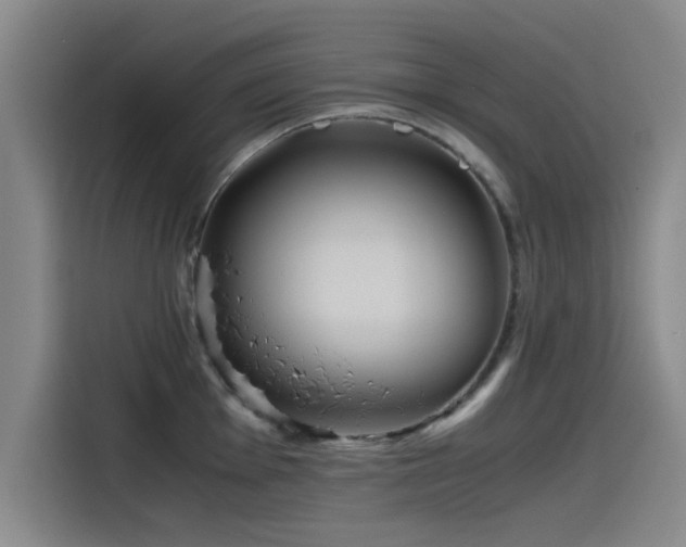 X0000115511001200911061353
