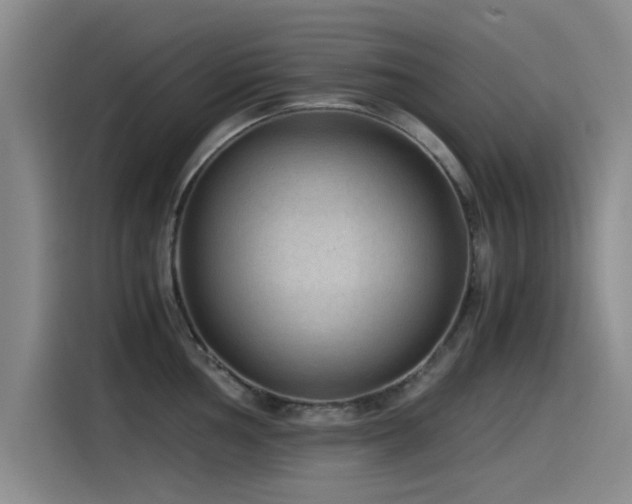 X0000115511002200911061353