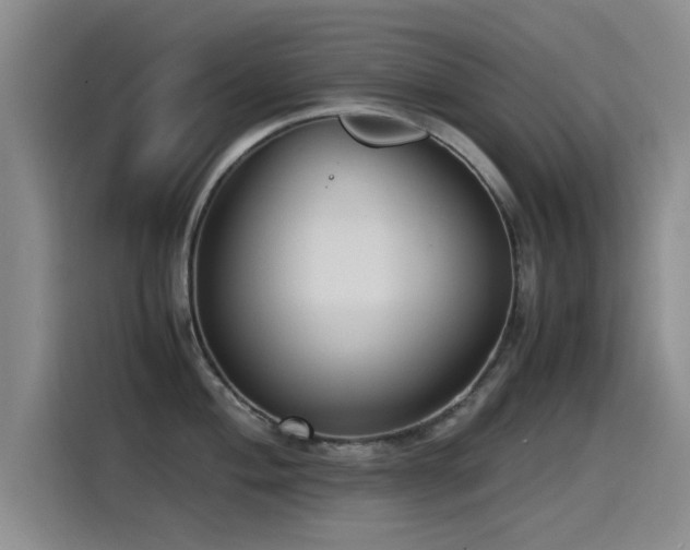 X0000115511004200911061353