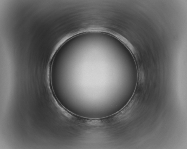 X0000115511006200911061353