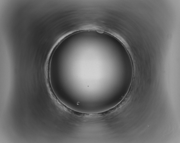X0000115511008200911061352