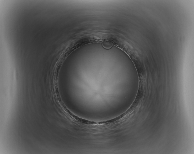 X0000115511009200911061352