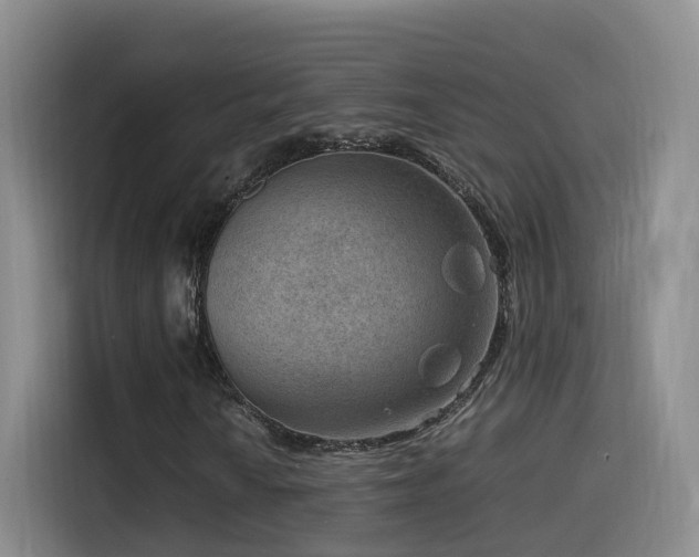 X0000115511010200911061352