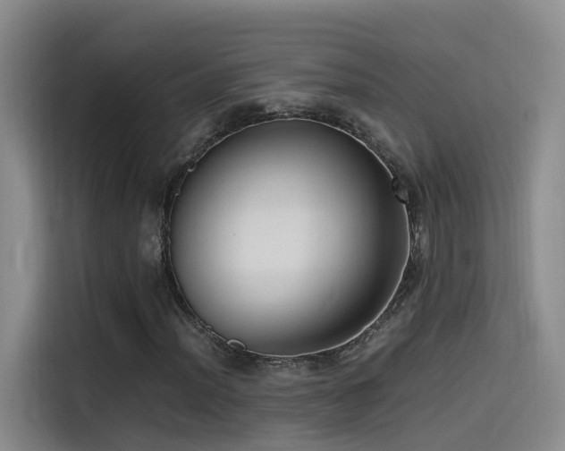 X0000115511012200911061352