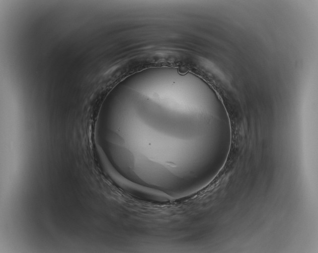 X0000115511013200911061352