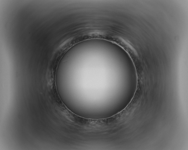 X0000115511015200911061352
