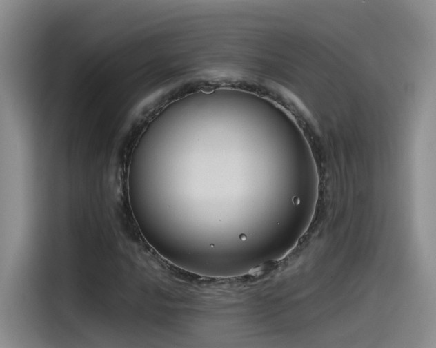 X0000115511016200911061352
