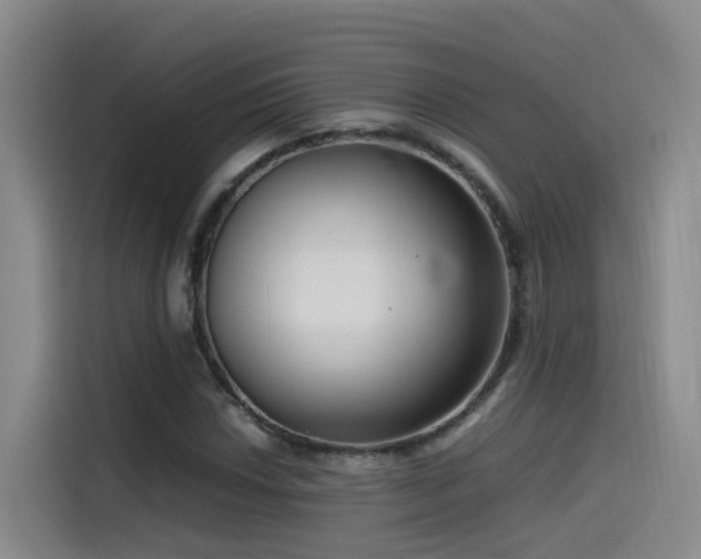 X0000115511018200911061352