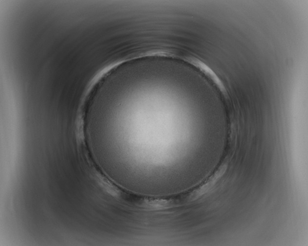 X0000115511019200911061352