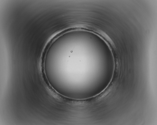 X0000115511020200911061352