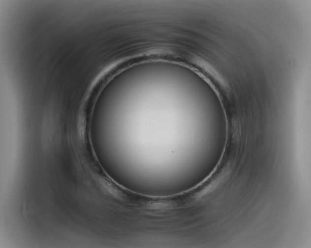 X0000115511021200911061352