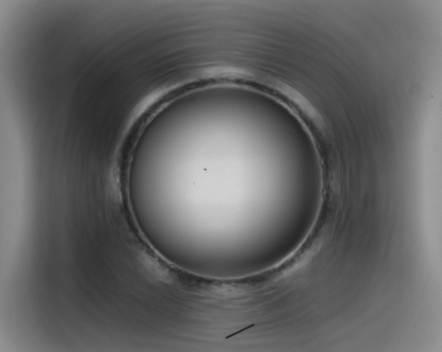 X0000115511022200911061352