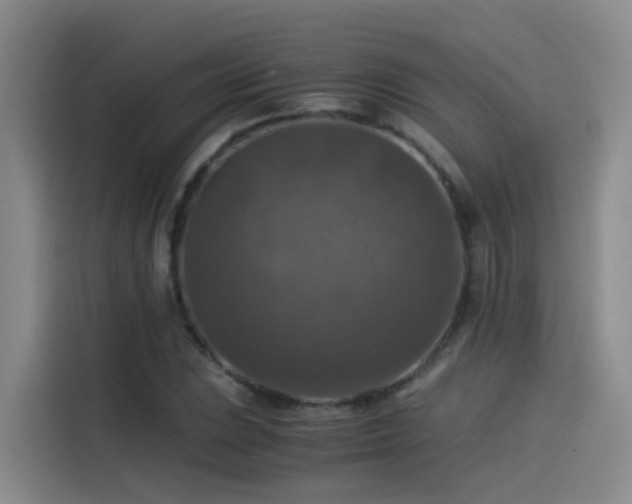 X0000115511023200911061352
