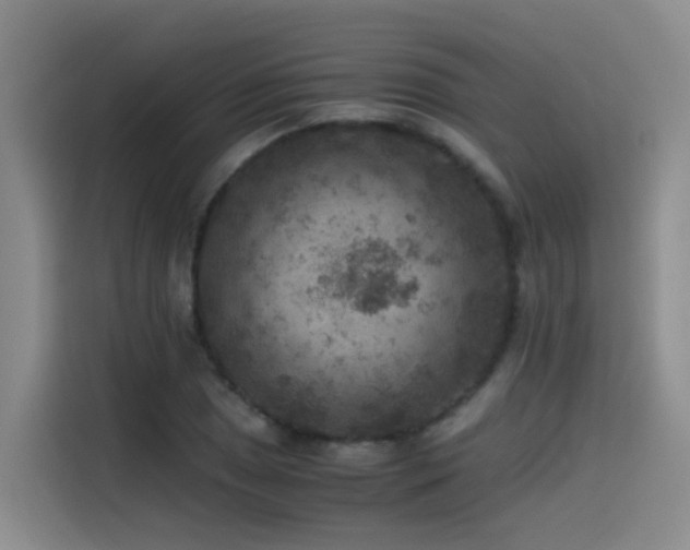 X0000115511025200911061352
