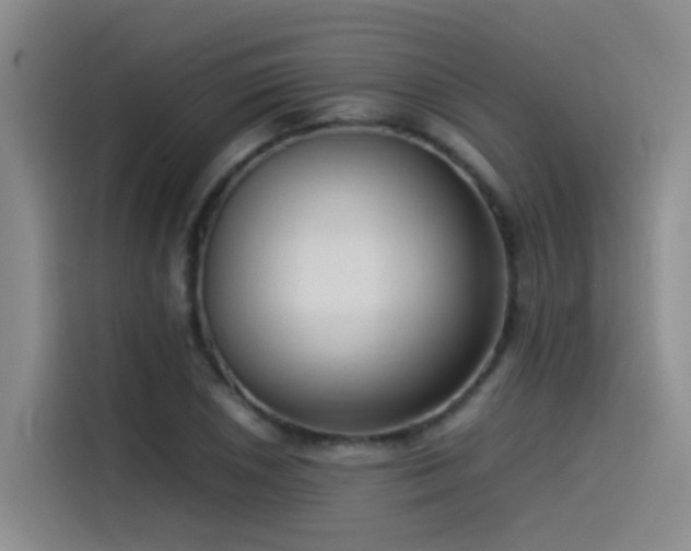 X0000115511026200911061352