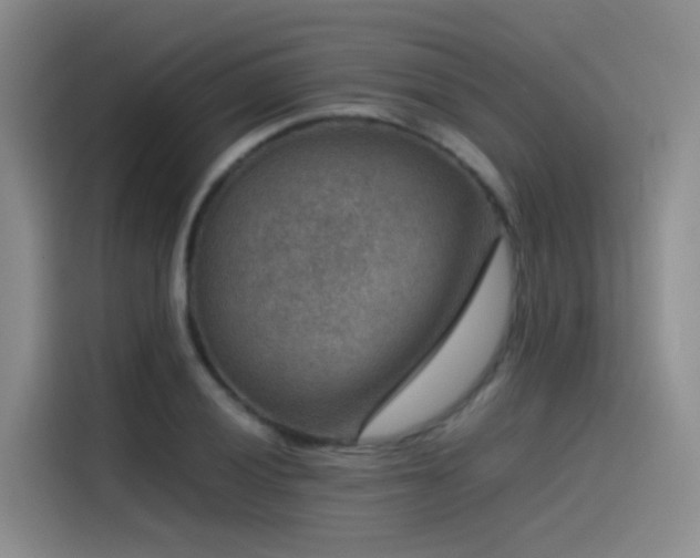 X0000115511028200911061352