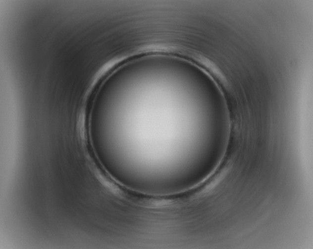 X0000115511030200911061352