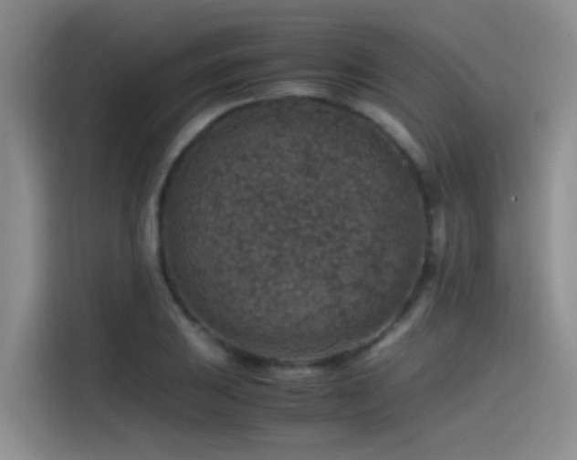 X0000115511031200911061352