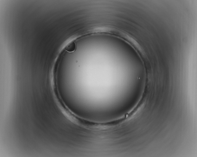 X0000115511034200911061352