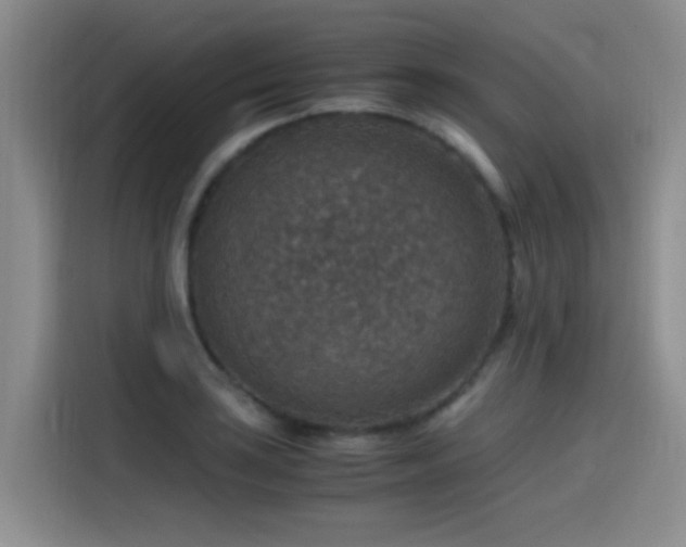 X0000115511035200911061352