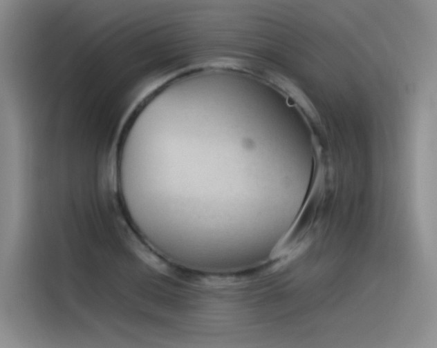 X0000115511036200911061352