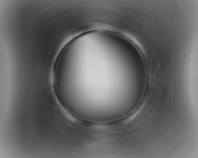 X0000115511040200911061352