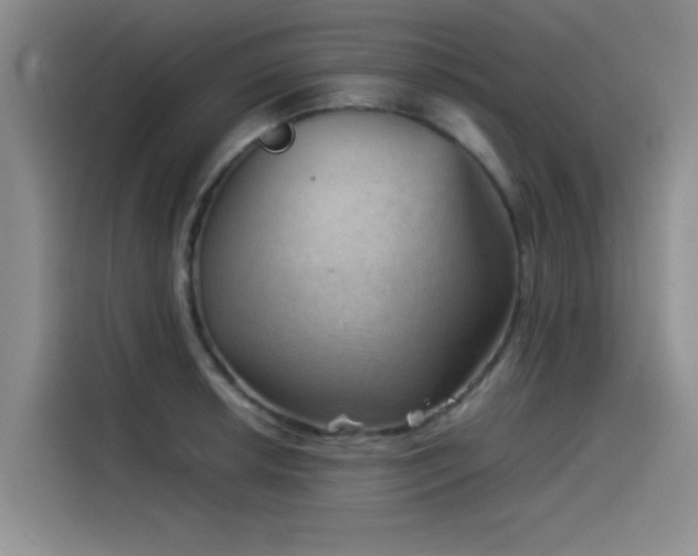 X0000115511042200911061352