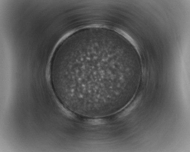 X0000115511045200911061352