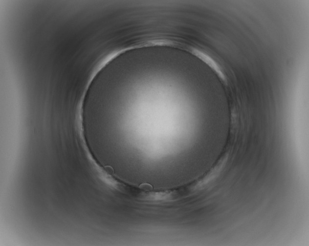X0000115511047200911061352