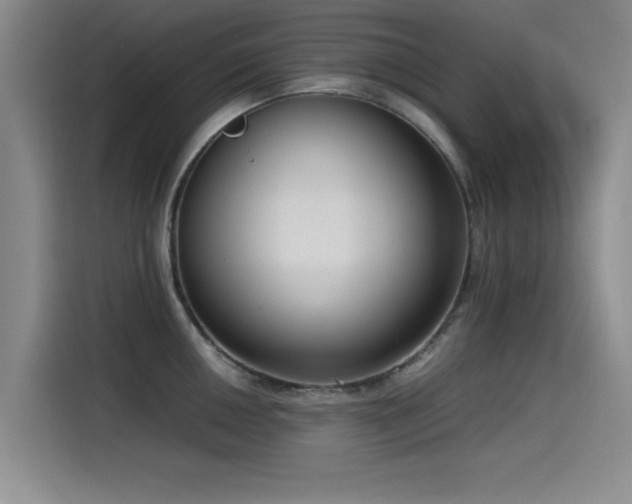 X0000115511050200911061352