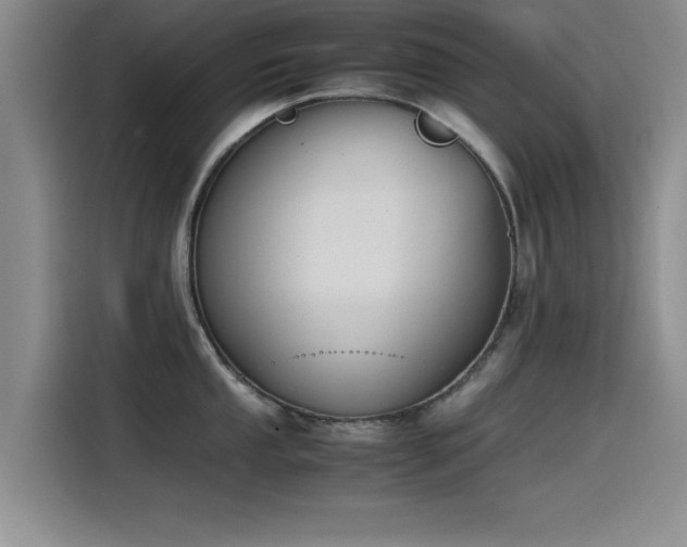 X0000115511053200911061352