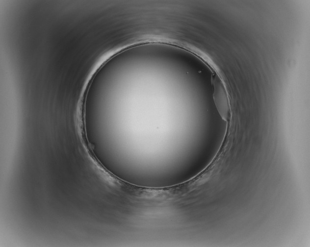 X0000115511056200911061352