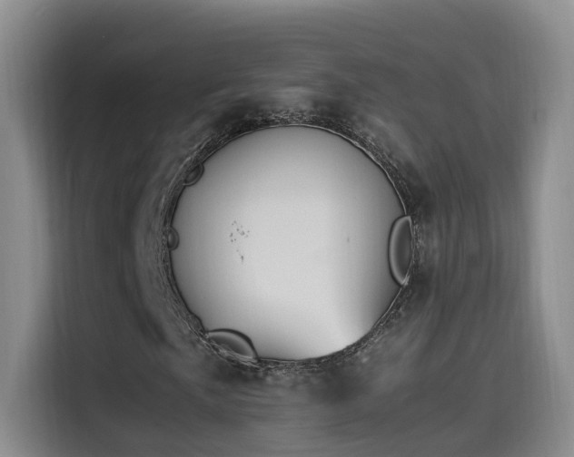 X0000115511057200911061352