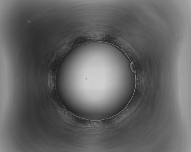 X0000115511058200911061352