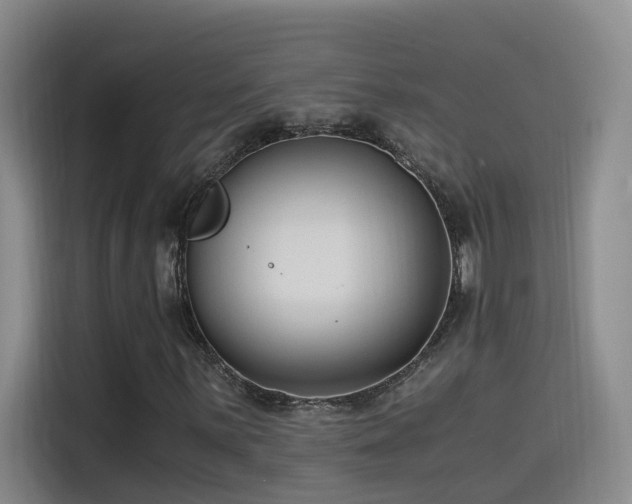 X0000115511059200911061352