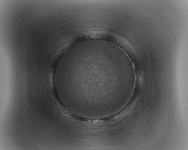 X0000115511060200911061352