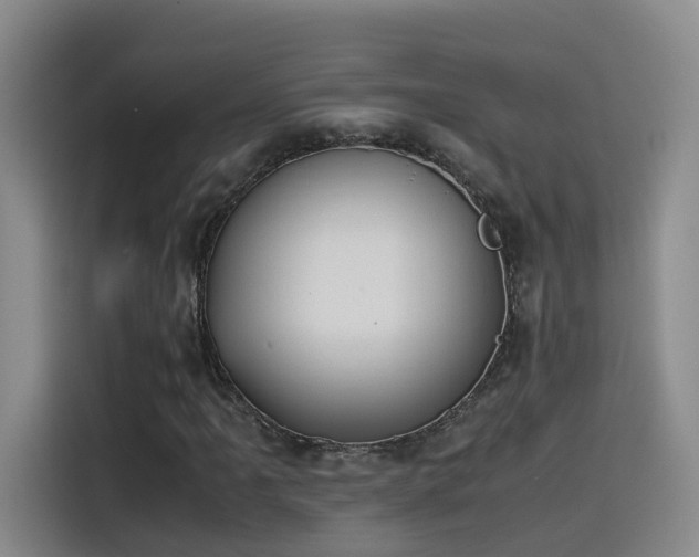 X0000115511061200911061352
