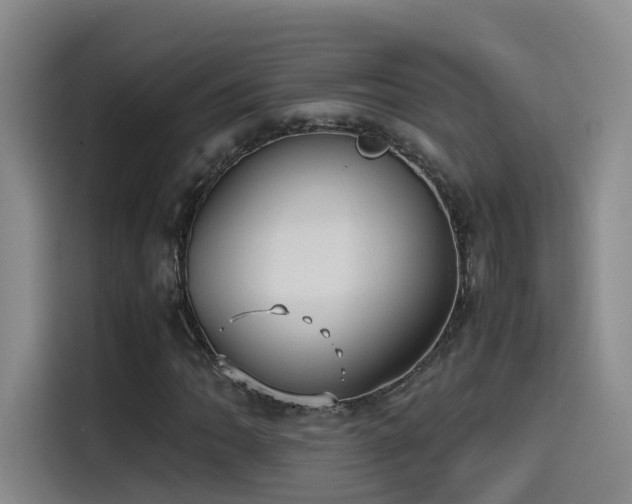 X0000115511062200911061352