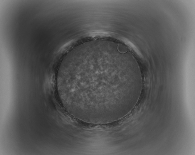 X0000115511063200911061352