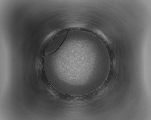 X0000115511064200911061352
