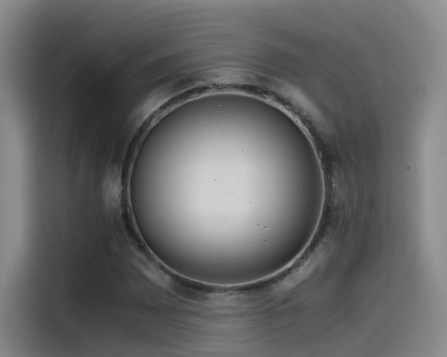 X0000115511065200911061352