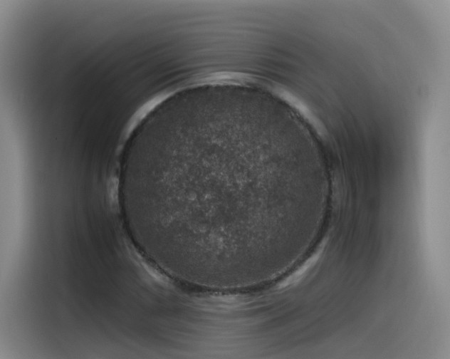 X0000115511066200911061352