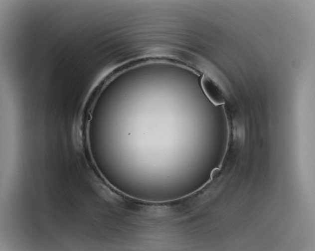 X0000115511068200911061352